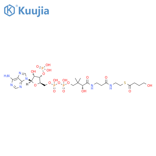 Coenzyme A, S-(4-hydroxybutanoate) structure