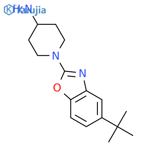 1-(5-tert-Butyl-1,3-benzoxazol-2-yl)piperidin-4-amine hydrochloride structure