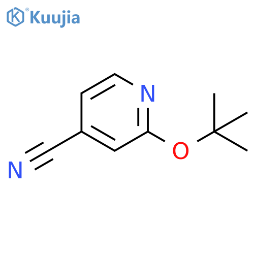 2-(tert-butoxy)pyridine-4-carbonitrile structure