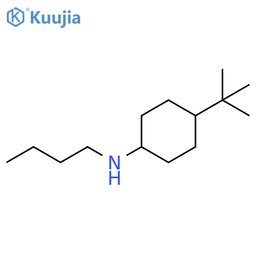 N-butyl-4-tert-butylcyclohexan-1-amine structure