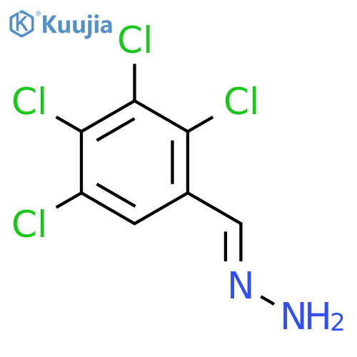 Benzaldehyde, tetrachloro-, hydrazone structure