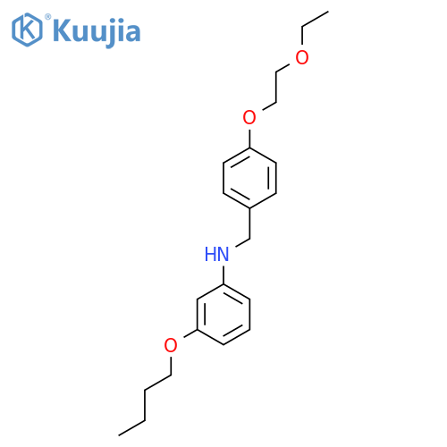 3-Butoxy-N-[4-(2-ethoxyethoxy)benzyl]aniline structure