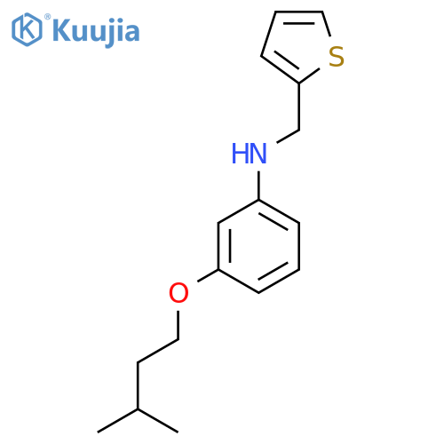 3-(Isopentyloxy)-N-(2-thienylmethyl)aniline structure