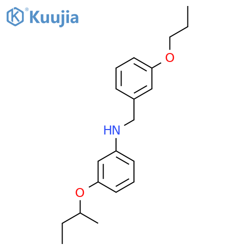 3-(Sec-butoxy)-N-(3-propoxybenzyl)aniline structure