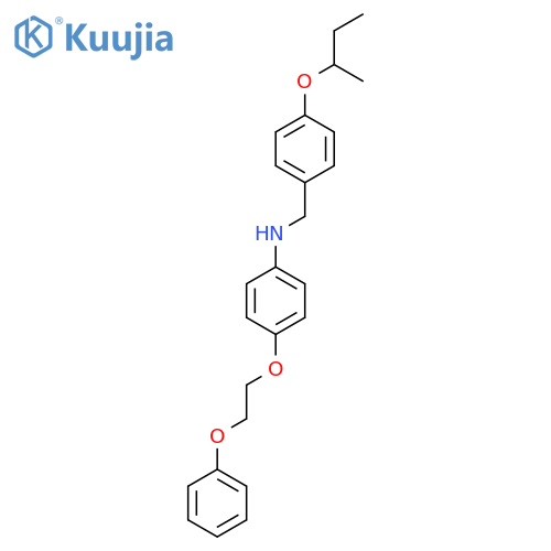 N-[4-(Sec-butoxy)benzyl]-4-(2-phenoxyethoxy)-aniline structure