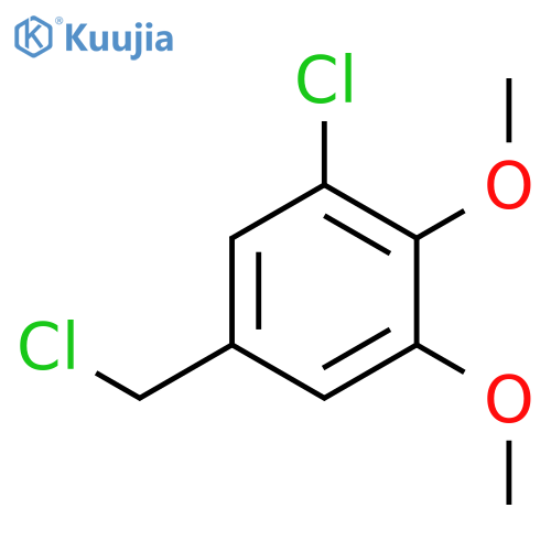 1-chloro-5-(chloromethyl)-2,3-dimethoxybenzene structure
