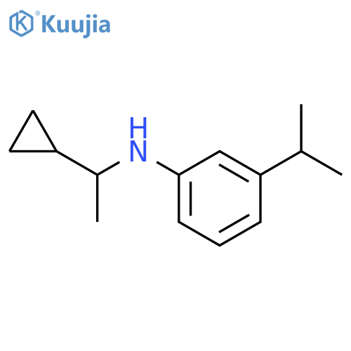 N-(1-cyclopropylethyl)-3-(propan-2-yl)aniline structure