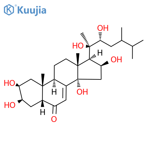 Polyporoid C structure