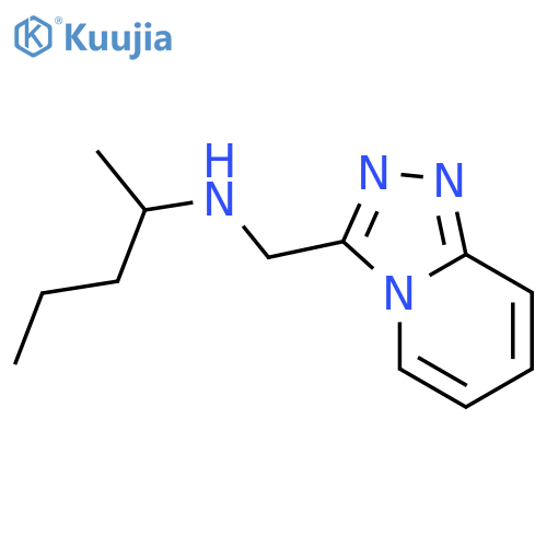(pentan-2-yl)({[1,2,4]triazolo[4,3-a]pyridin-3-yl}methyl)amine structure