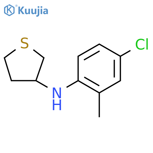 N-(4-chloro-2-methylphenyl)thiolan-3-amine structure