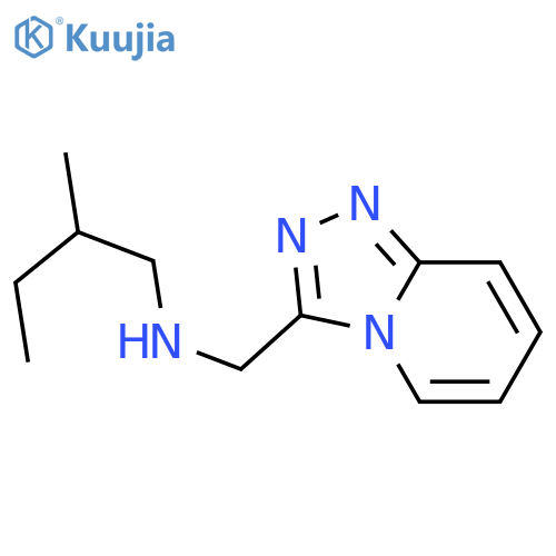 (2-methylbutyl)({[1,2,4]triazolo[4,3-a]pyridin-3-yl}methyl)amine structure