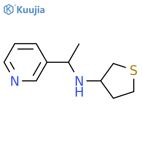 N-[1-(pyridin-3-yl)ethyl]thiolan-3-amine structure