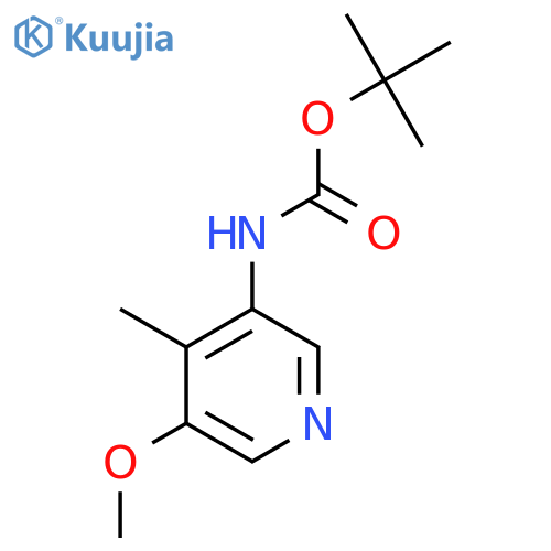 tert-Butyl 5-Methoxy-4-methylpyridin-3-ylcarbamate structure