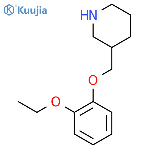 Piperidine,3-[(2-ethoxyphenoxy)methyl]- structure