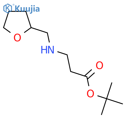 Tert-Butyl 3-[(oxolan-2-ylmethyl)amino]propanoate structure
