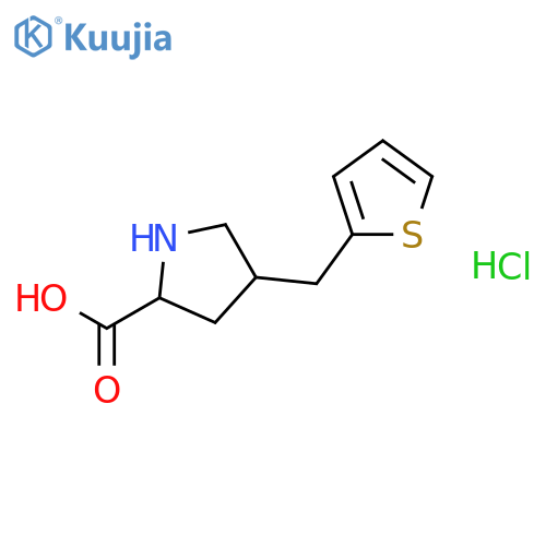 (2S,4S)-4-(thiophen-2-ylmethyl)pyrrolidine-2-carboxylic Acid Hydrochloride structure