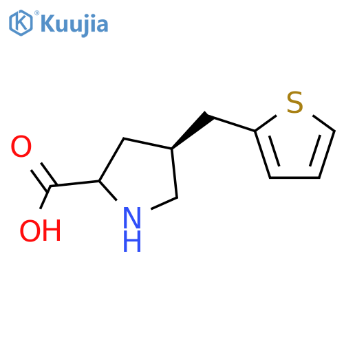 (2S,4S)-4-(thiophen-2-ylmethyl)pyrrolidine-2-carboxylic Acid structure