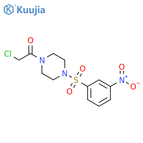 2-chloro-1-[4-(3-nitrobenzenesulfonyl)piperazin-1-yl]ethan-1-one structure