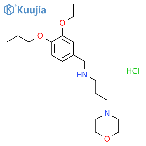 (3-Ethoxy-4-propoxy-benzyl)-(3-morpholin-4-yl-propyl)-amine structure