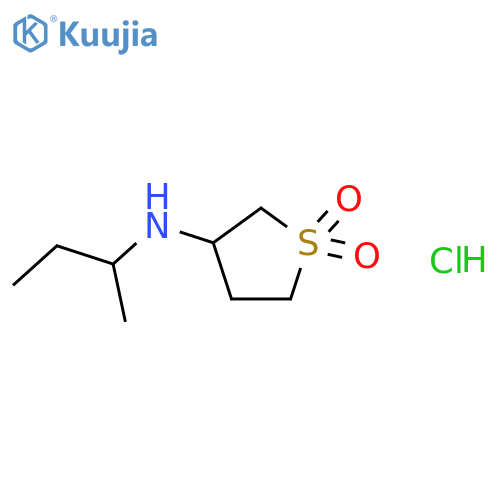 3-[(butan-2-yl)amino]-1λ?-thiolane-1,1-dione hydrochloride structure