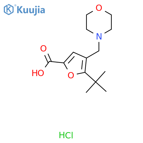 5-Tert-butyl-4-morpholin-4-ylmethyl-furan-2-carboxylic acid hydrochloride structure