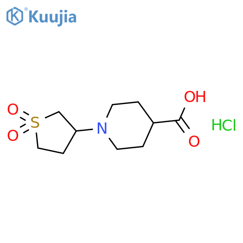 1-(1,1-dioxothiolan-3-yl)piperidine-4-carboxylic acid;hydrochloride structure