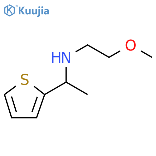(2-methoxyethyl)1-(thiophen-2-yl)ethylamine structure
