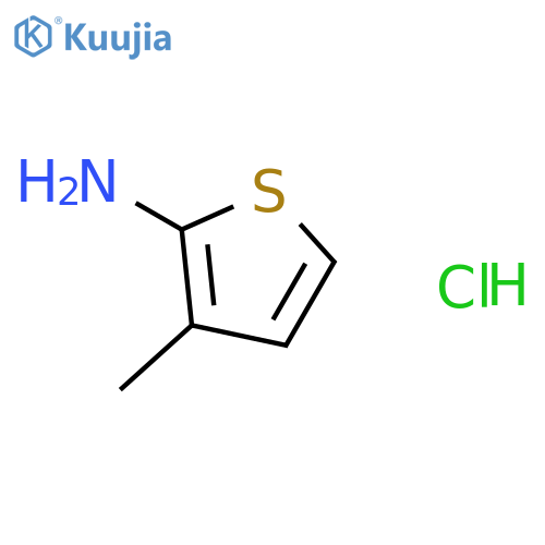 3-Methylthiophen-2-amine hydrochloride structure