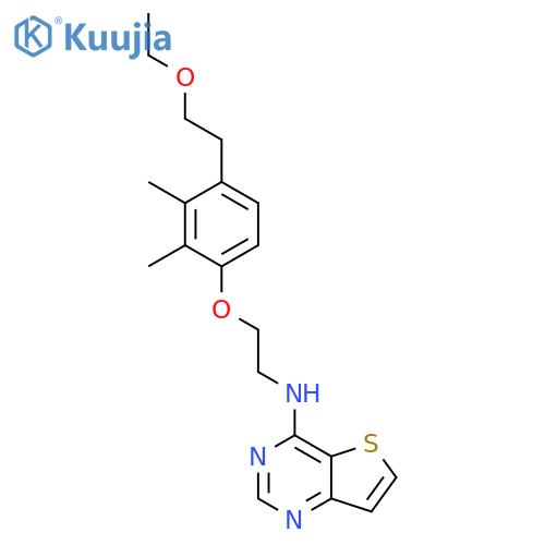Thieno[3,2-d]pyrimidin-4-amine,N-[2-[4-(2-ethoxyethyl)-2,3-dimethylphenoxy]ethyl]- structure
