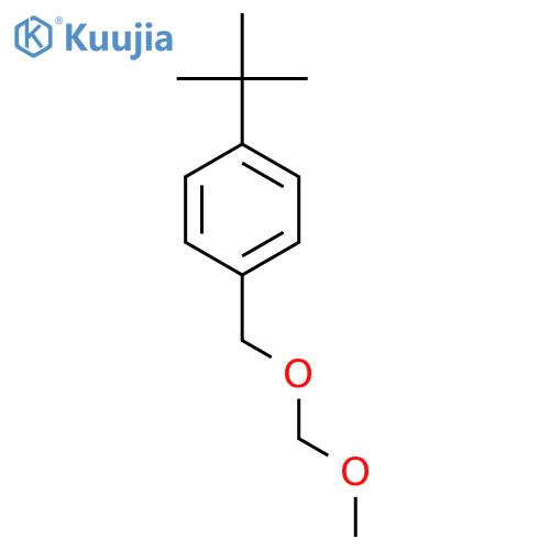 4-tert-butyl-1-(methoxymethoxy)methyl benzene structure