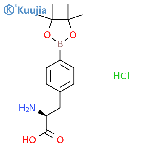 4-(4,4,5,5-Tetramethyl-1,3,2-dioxaborolan-2-yl)-L-phenylalanine Hydrochloride structure