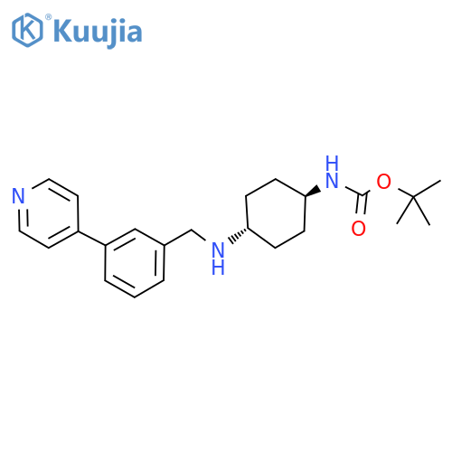 trans-[4-[[3-(Pyridin-4-yl)benzyl]amino]cyclohexyl]carbamic acid tert-butyl ester structure