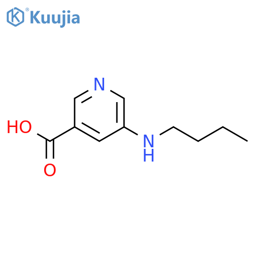 3-Pyridinecarboxylicacid, 5-(butylamino)- structure