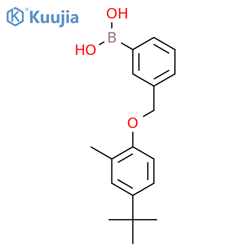 3-(4'-tert-Butyl-2'-methylphenoxy)methylphenylboronic Acid structure