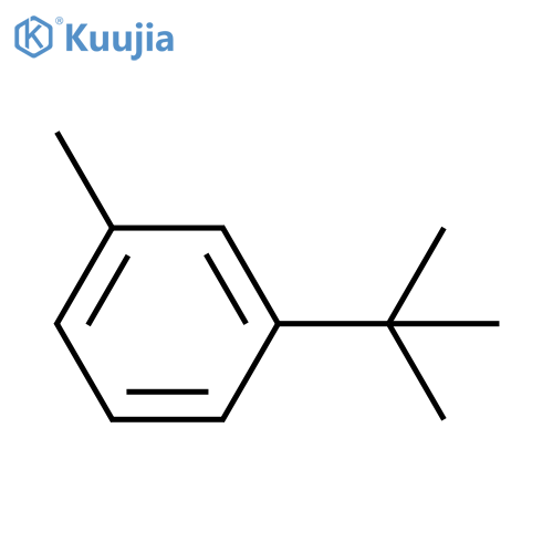 3-Tert-Butyltoluene structure