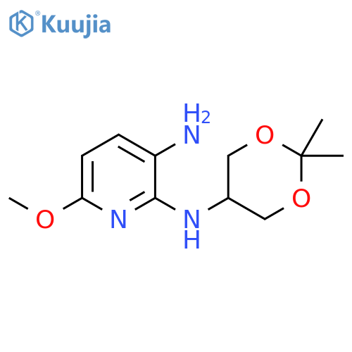 2-N-(2,2-Dimethyl-1,3-dioxan-5-yl)-6-methoxypyridine-2,3-diamine structure