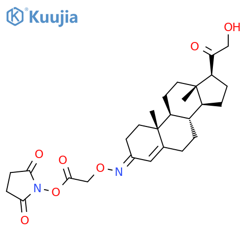 2,5-Pyrrolidinedione, 1-[[[[(21-hydroxy-20-oxopregn-4-en-3-ylidene)amino]oxy]acetyl]oxy]- structure
