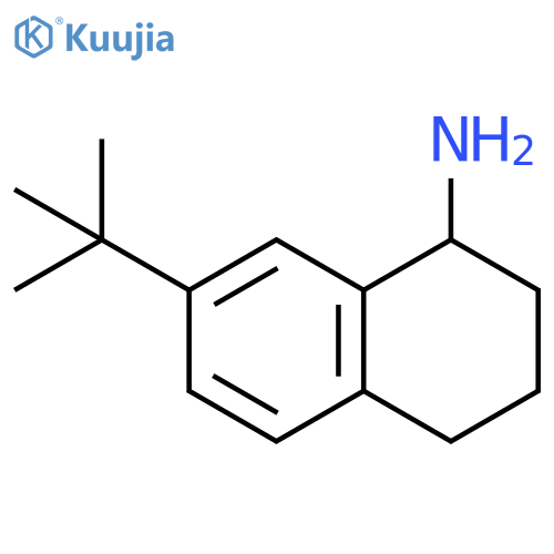 7-tert-butyl-1,2,3,4-tetrahydronaphthalen-1-amine structure