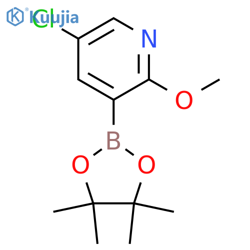 5-chloro-2-methoxypyridine-3-boronic acid pinacol ester structure