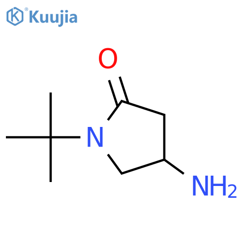 4-amino-1-tert-butylpyrrolidin-2-one structure