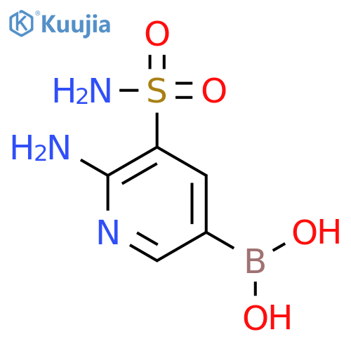 6-amino-5-sulfamoylpyridine-3-boronic acid structure
