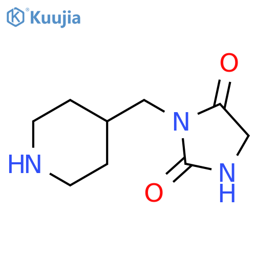 3-[(piperidin-4-yl)methyl]imidazolidine-2,4-dione structure