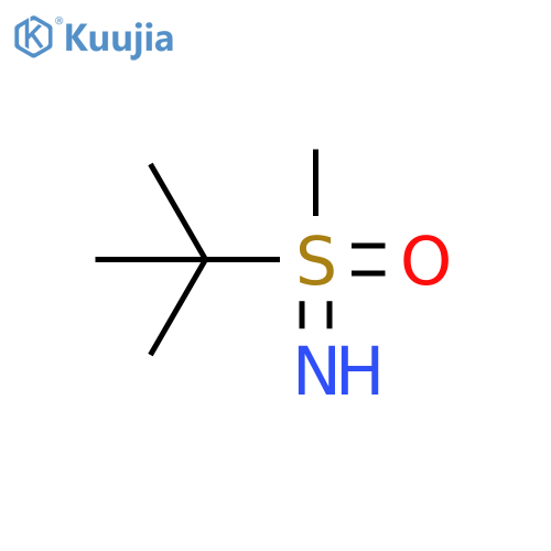 tert-butyl(imino)methyl-λ?-sulfanone structure