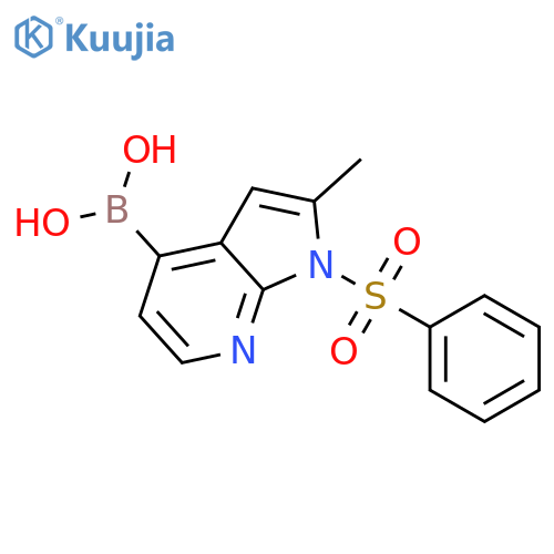 B-[2-methyl-1-(phenylsulfonyl)-1H-pyrrolo[2,3-b]pyridin-4-yl]boronic acid structure