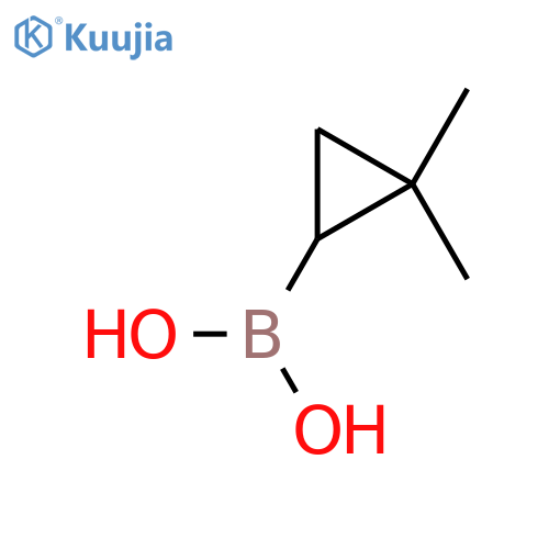 (2,2-Dimethylcyclopropyl)boronic acid structure