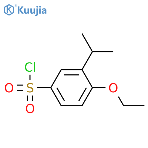 4-ethoxy-3-(propan-2-yl)benzene-1-sulfonyl chloride structure