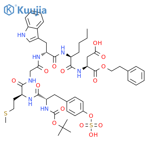 L-Aspartic acid,N-[N-[N-[N-[N-[N-[(1,1-dimethylethoxy)carbonyl]-O-sulfo-L-tyrosyl]-L-methionyl]glycyl]-D-tryptophyl]-L-norleucyl]-,1-(2-phenylethyl) ester (9CI) structure