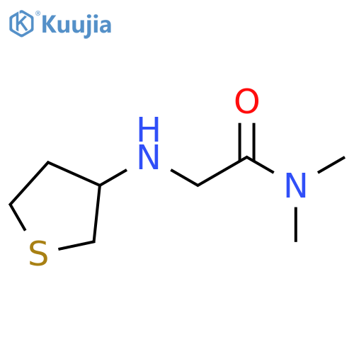 N,N-dimethyl-2-[(thiolan-3-yl)amino]acetamide structure