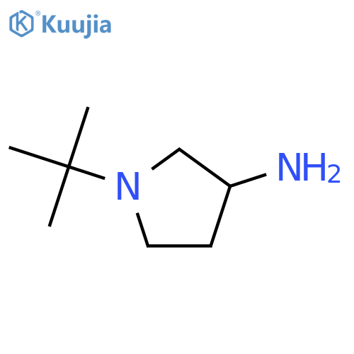 1-tert-butylpyrrolidin-3-amine structure