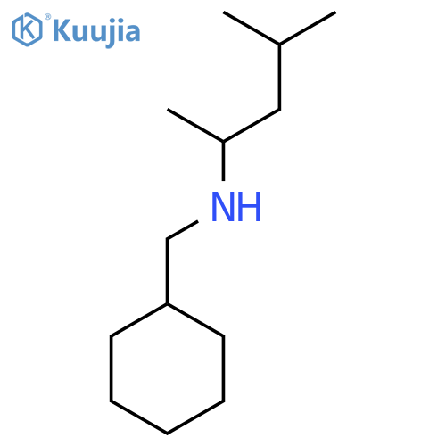 (Cyclohexylmethyl)(4-methylpentan-2-yl)amine structure
